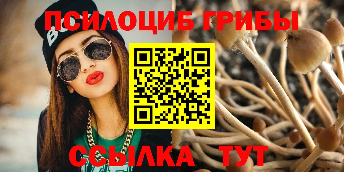 Галлюциногенные грибы GOLDEN TEACHER Белореченск