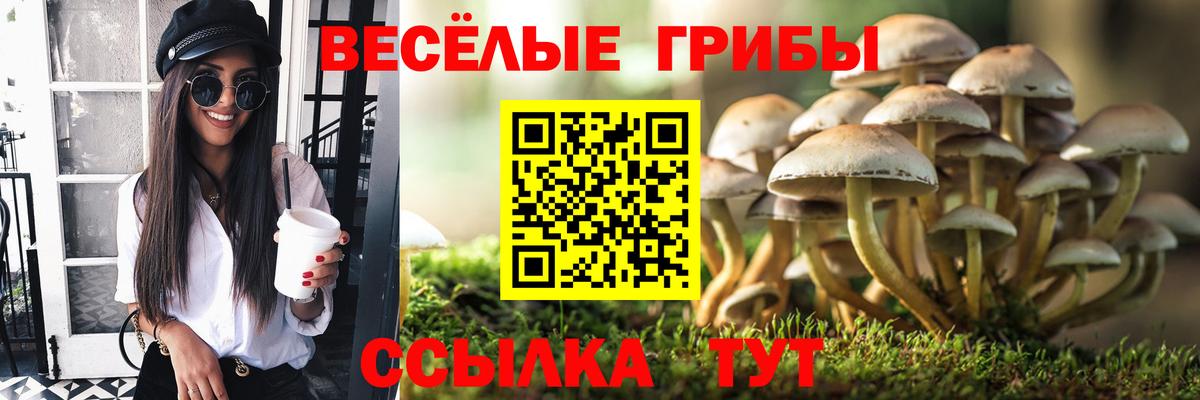 Галлюциногенные грибы Psilocybe  Вход с VPN  где найти   Галлюциногенные грибы Cubensis  Белореченск 